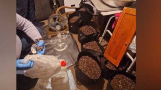 Завершено предварительное следствие в отношении 4 лиц по делу о нарколаборатории в селе Гарни, преступной группе, занимающейся незаконным оборотом наркотиков: они арестованы